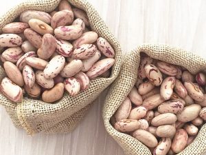 SA sugar beans (MP)
