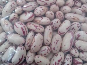 SA sugar beans (JHB)